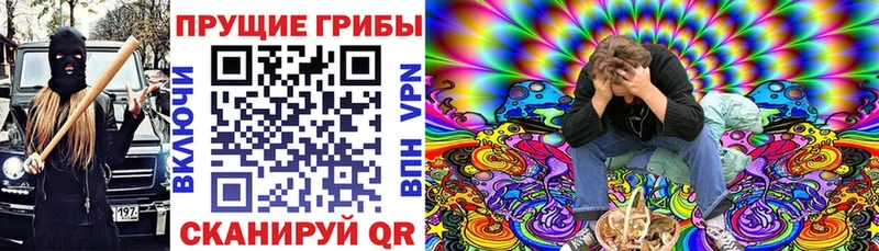 Галлюциногенные грибы Magic Shrooms  даркнет сайт  Зверево 